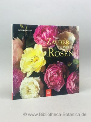 gebrauchtes Buch – Austin, David/Helga Urban  – Vom Zauber englischer Rosen.