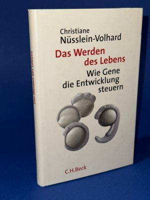 gebrauchtes Buch – Christiane Nüsslein-Volhard – Das Werden des Lebens: Wie Gene die Entwicklung steuern