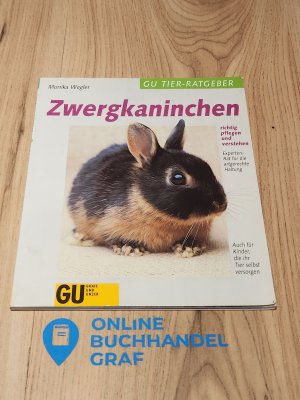 Zwergkaninchen richtig pflegen und verstehen