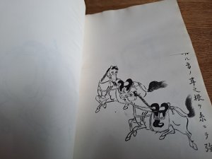 gebrauchtes Buch – Methoden zur Beseitung von Bösartigkeiten bei Reitpferden. Bildteil