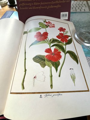 gebrauchtes Buch – Lack, H: Walter. – FLORILEGIUM IMPERIALE: Botanische Schätze für Kaiser Franz I. von Österreich. Mit einem Essay von Marina Heilmeyer.