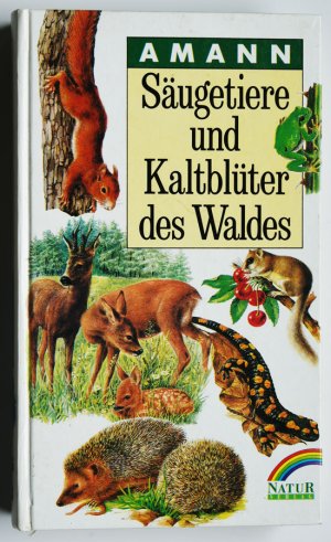 Säugetiere und Kaltblüter des Waldes