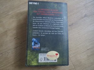 gebrauchtes Buch – Stieg Larsson – Verdammnis (2)