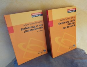 gebrauchtes Buch – Achim Geisenhanslüke – Einführung in die Literaturtheorie + Einführung in die Literatur der Romantik : 2 Bände der Reihe Einführung Germanistik der WBG