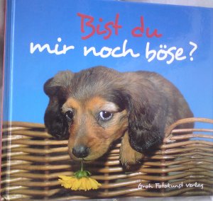 gebrauchtes Buch – Dorothee Bleker – Bist Du mir noch böse?