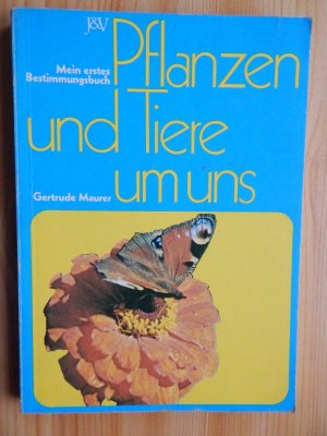 Pflanzen und Tiere um uns. Mein erstes Bestimmungsbuch. In neuer Rechtschreibung