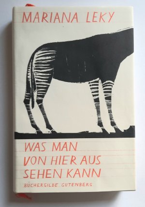 gebrauchtes Buch – Mariana Leky – Was man von hier aus sehen kann