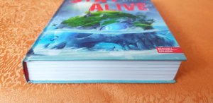 gebrauchtes Buch – Reifenberg, Frank Maria – Stay Alive – das ist kein Spiel - Ein actionreiches Gaming-Abenteuer ab 12 Jahren