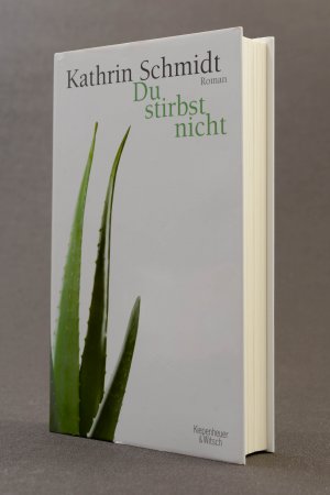 gebrauchtes Buch – Kathrin Schmidt – Du stirbst nicht (Gebundene Ausgabe mit Schutzumschlag)