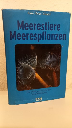 Meerestiere, Meerespflanzen. Die Unterwasserwelt der Mittelmeerküsten