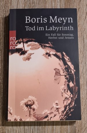 gebrauchtes Buch – Boris Meyn – Tod im Labyrinth Ein Fall für Sonntag, Herbst und Jensen