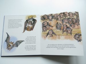 gebrauchtes Buch – Dirk Walbrecker – Die kleine Fledermaus