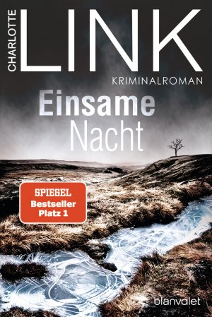 Einsame Nacht - Kate-Linville-Reihe 4