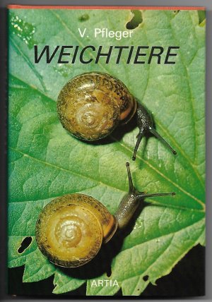 gebrauchtes Buch – Pfleger, Dr – Weichtiere - Mit 158 Farbfotos von Václav Pfleger, Jiří Poláček, Július Slabecius und Dušan Šimánek und 34 Federzeichnungen von Eva Smrčinová