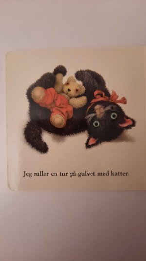 gebrauchtes Buch – Lille Bamse – GODNAT