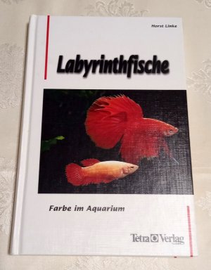 gebrauchtes Buch – Horst Linke – Labyrinthfische - Farbe im Aquarium