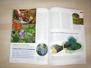 gebrauchtes Buch – Garten Flora Januar 2024