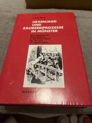 gebrauchtes Buch – Sabine Alfing – Hexenjagd und Zaubereiprozesse in Münster