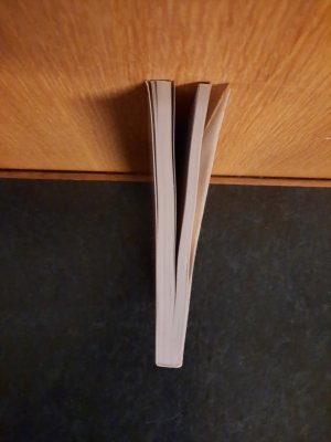 gebrauchtes Buch – Doris Heueck-Mauß – Das Trotzkopfalter. Der Ratgeber für Eltern von 2-6 jährigen Kindern.