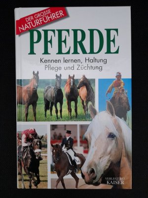 Pferde