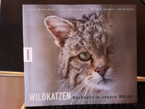 Wildkatzen - Rückkehr in unsere Wälder