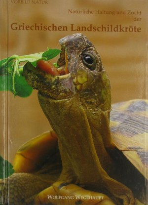 gebrauchtes Buch – Wolfgang Wegehaupt – Natürliche Haltung und Zucht der Griechischen Landschildkröte