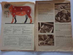 Hammelgerichte Beyer-band  Nr. 346