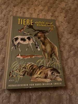 antiquarisches Buch – Hans-Wilhelm smolik – Tiere erlebt und belauscht