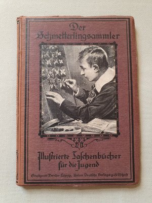 gebrauchtes Buch – Alexander Bau – Der Schmetterlingssammler