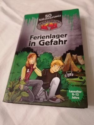 gebrauchtes Buch – Ferienlager in gefahr