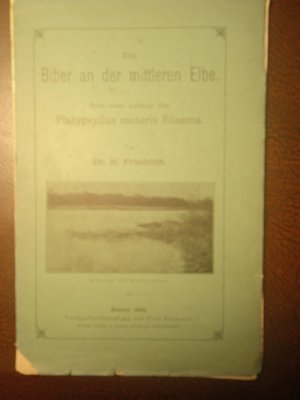 Die Biber an der mittleren Elbe. Nebst einem Anhange über Platypsyllus castoris Ritsema