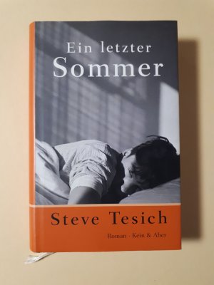 gebrauchtes Buch – Steve Tesich – Ein letzter Sommer