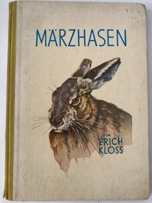 Märzhasen - Hansi, das Eichhörnchen