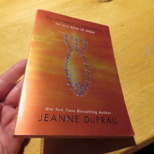 gebrauchtes Buch – Jeanne Duprau – The Prophet of Yonwood - The third Book of Ember - New York Bestseller Jeanne DuPrau