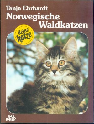 Norwegische Waldkatzen