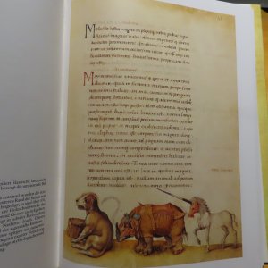 gebrauchtes Buch – Bibloteca Apostolica Vaticana, inkl. Schutzkarton