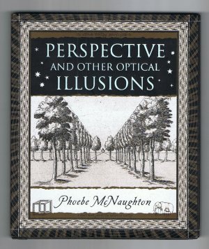 Perspective and other Illusions