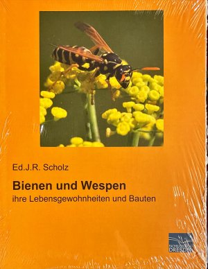 gebrauchtes Buch – Scholz, Ed.J.R – Bienen und Wespen: ihre Lebensgewohnheiten und Bauten (Nachdruck der historischen Auflage von 1913)