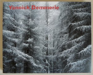 Yannick Demmerle