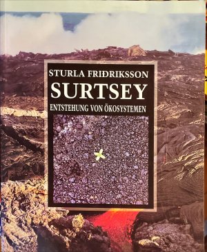 Surtsey. Entstehung von Ökosystemen