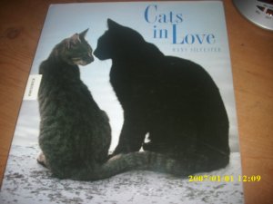 Cats in Love