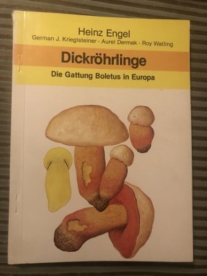 Dickröhrlinge