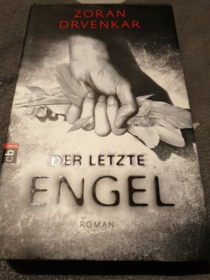 gebrauchtes Buch – Zoran Drvenkar – Der letzte Engel