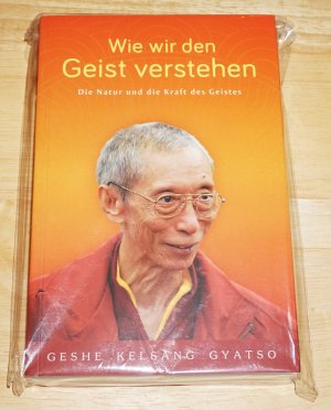 gebrauchtes Buch – Kelsang Gyatso – Den Geist verstehen., Die Natur und Kraft des Geistes.