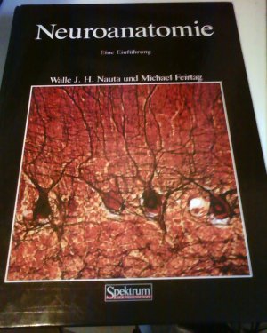 gebrauchtes Buch – Nauta, Walle J – Neuroanatomie