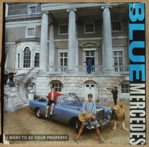 gebrauchter Tonträger – Blue Mercedes – I want to be your property