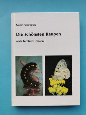 gebrauchtes Buch – Frieder Sauer – Die schönsten Raupen nach Farbfotos erkannt