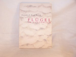 Flügel im Augenblick