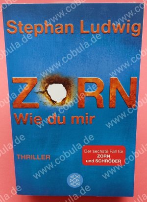 gebrauchtes Buch – Stephan Ludwig – Zorn Wie du mir 6 Fall für Zorn und Schröder