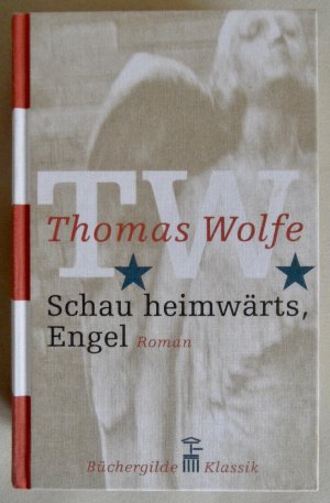 Schau heimwärts, Engel. Eine Geschichte vom begrabenen Leben. Roman